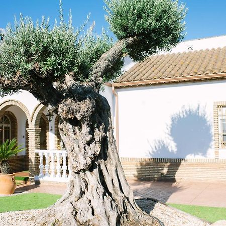 Casa Luxury "El Olivo De Cordoba" Con Jacuzzi Y Parking Privado Guest House Luaran gambar