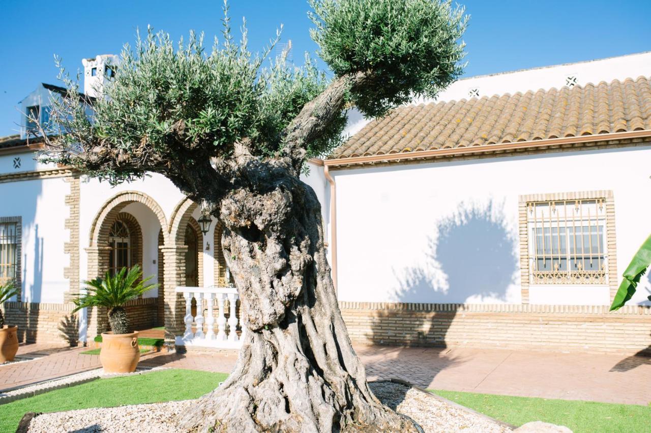 Casa Luxury "El Olivo De Cordoba" Con Jacuzzi Y Parking Privado Guest House Luaran gambar