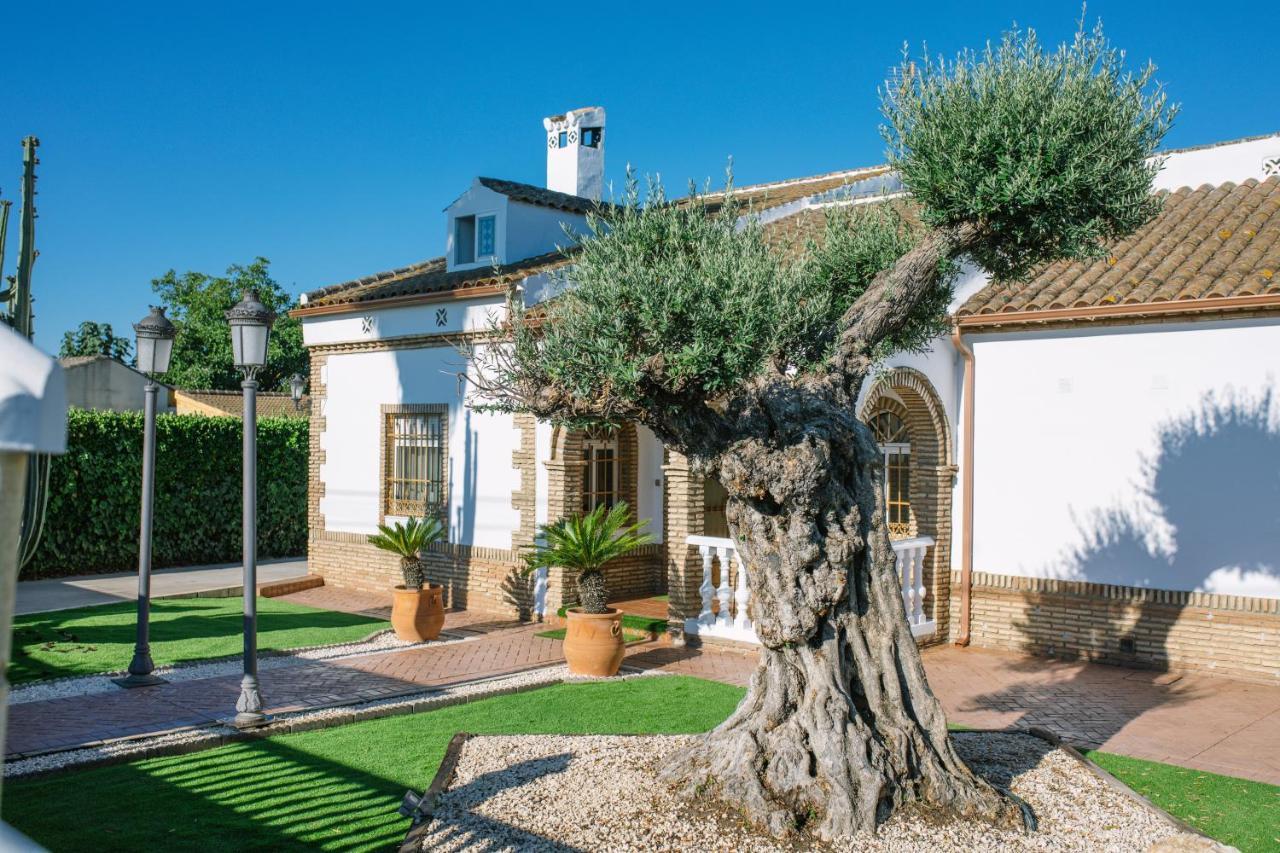 Casa Luxury "El Olivo De Cordoba" Con Jacuzzi Y Parking Privado Guest House Luaran gambar