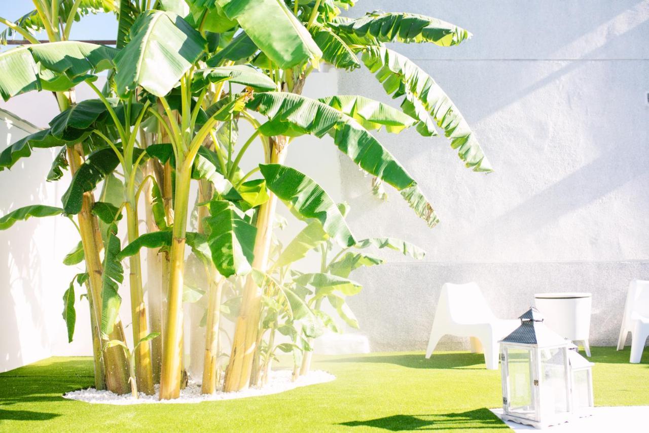 Casa Luxury "El Olivo De Cordoba" Con Jacuzzi Y Parking Privado Guest House Luaran gambar